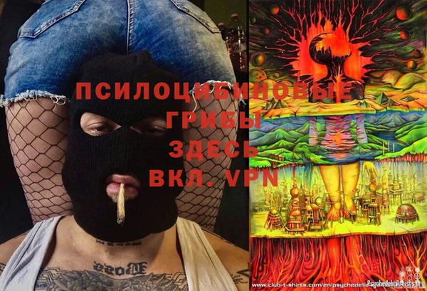 таблы Лиски