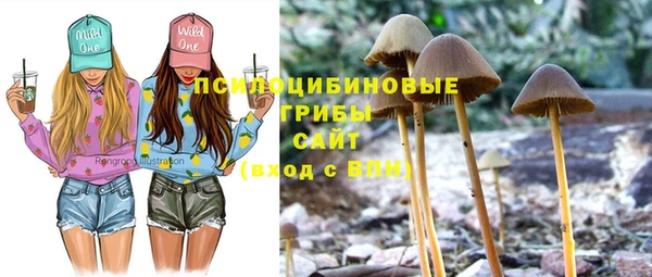 таблы Лиски