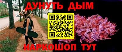 индика Тула