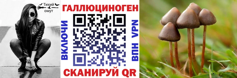 Галлюциногенные грибы прущие грибы  закладка  Новоалександровск 