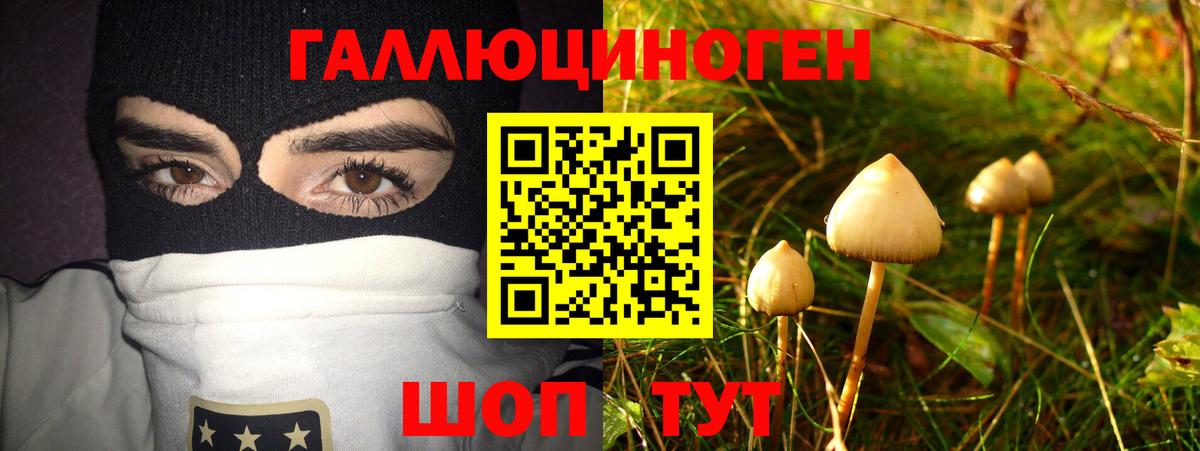 Галлюциногенные грибы MAGIC MUSHROOMS  Вход с VPN  купить  сайты  Новоалександровск 